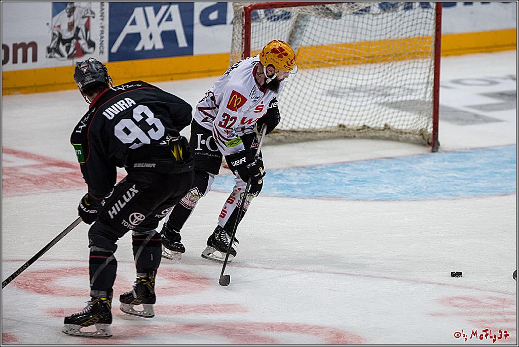 DEL, Koelner Haie - Fishtown Pinguins Bremerhaven, 29.01.2017